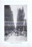 Фотография 0002.jpg