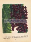 Фотография 0249.jpg