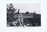 Фотография 0033.jpg