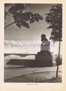 Фотография 0195.jpg