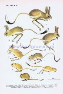 Фотография 0230.jpg