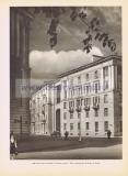 Фотография 0173.jpg