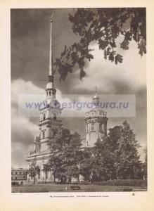 Фотография 0061.jpg