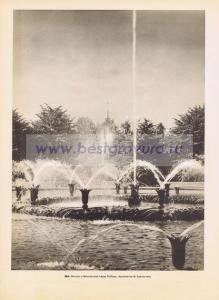 Фотография 0264.jpg