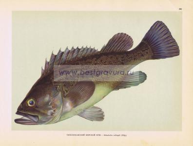 Фотография 0202.jpg